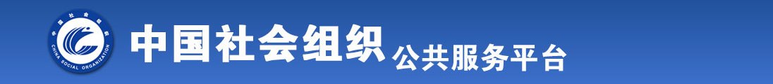 牛BX影院全国社会组织信息查询